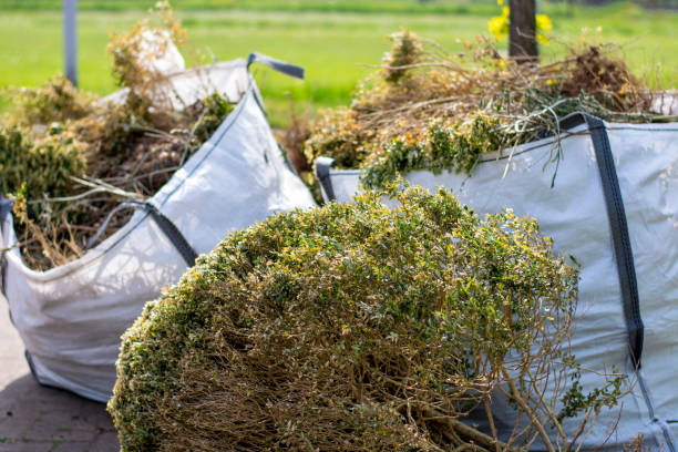 Best Electronics Removal Services  in Pion Hills, CA